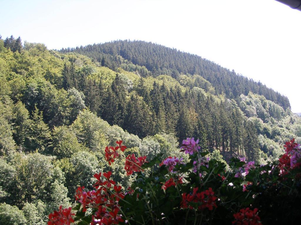 Pension Haus Waldfrieden, Meinecardplus Inklusive Willingen  Exterior foto