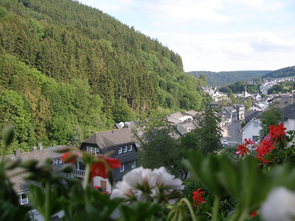 Pension Haus Waldfrieden, Meinecardplus Inklusive Willingen  Exterior foto