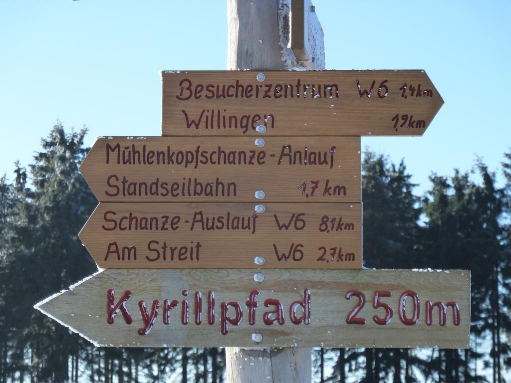 Pension Haus Waldfrieden, Meinecardplus Inklusive Willingen  Exterior foto