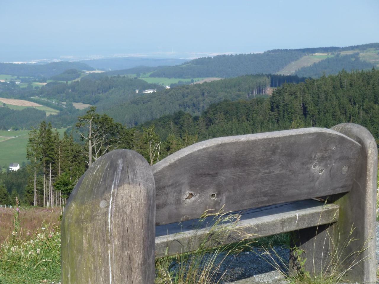 Pension Haus Waldfrieden, Meinecardplus Inklusive Willingen  Exterior foto