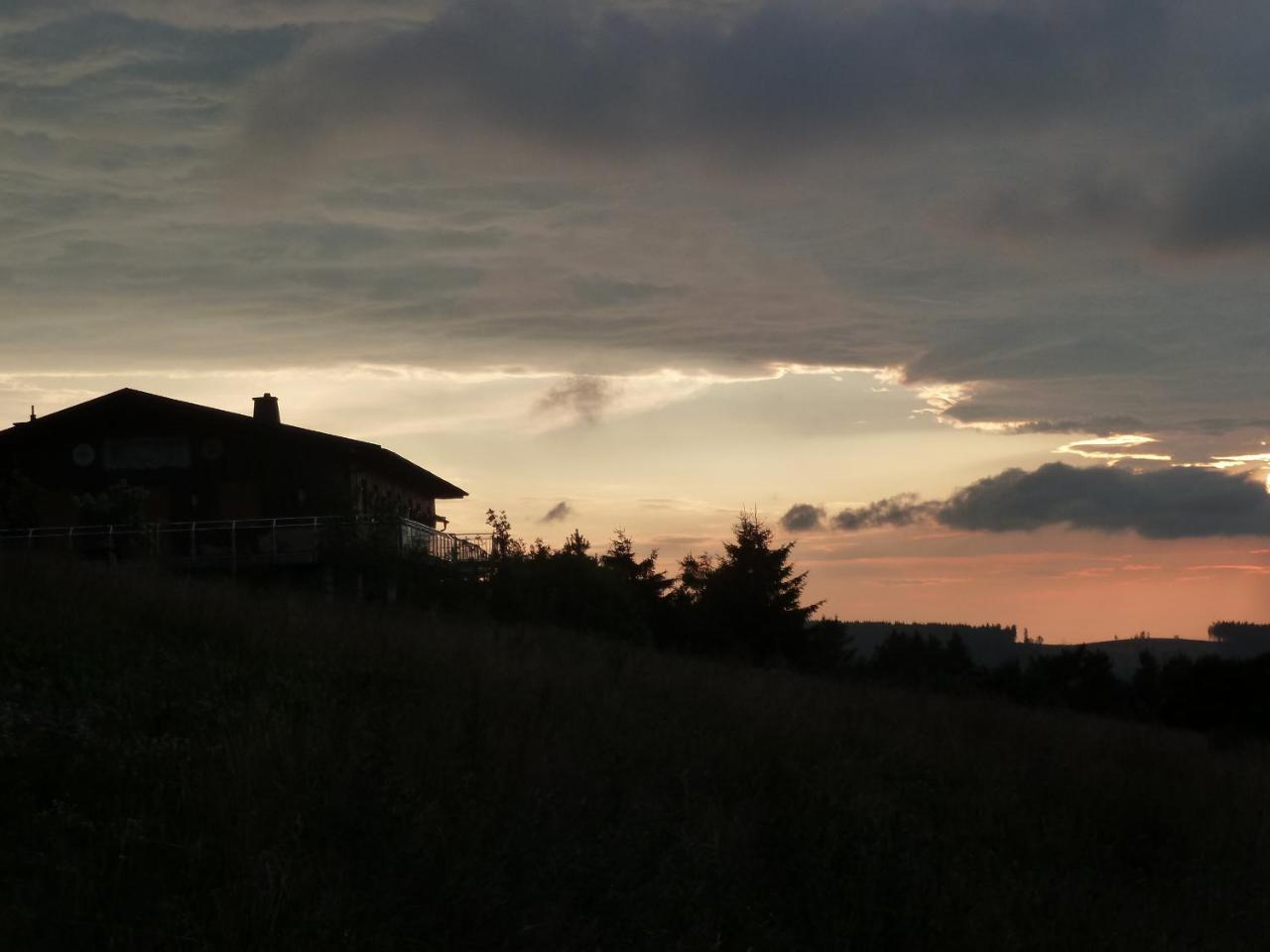 Pension Haus Waldfrieden, Meinecardplus Inklusive Willingen  Exterior foto